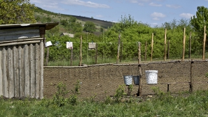 SCANDAL în raionul Râşcani. Oamenii, nemulţumiţi că s-au trezit cu stâna în mijlocul satului