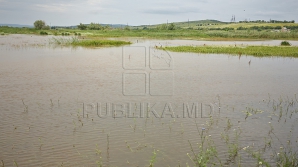 Locuitorii din satul Bursuc, ÎN PERICOL. Digul iazului poate ceda în orice moment 