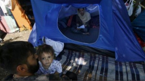 Vedetele de la Hollywood se mobilizează în favoarea refugiaţilor. Vezi videoclipul filmat 