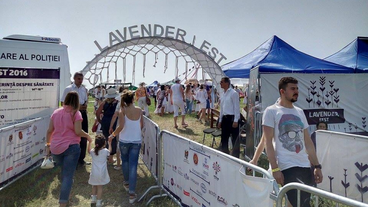 A doua ediţie a festivalului levănţicii a venit cu noi surprize. Ce au pregătit organizatorii (GALERIE FOTO)