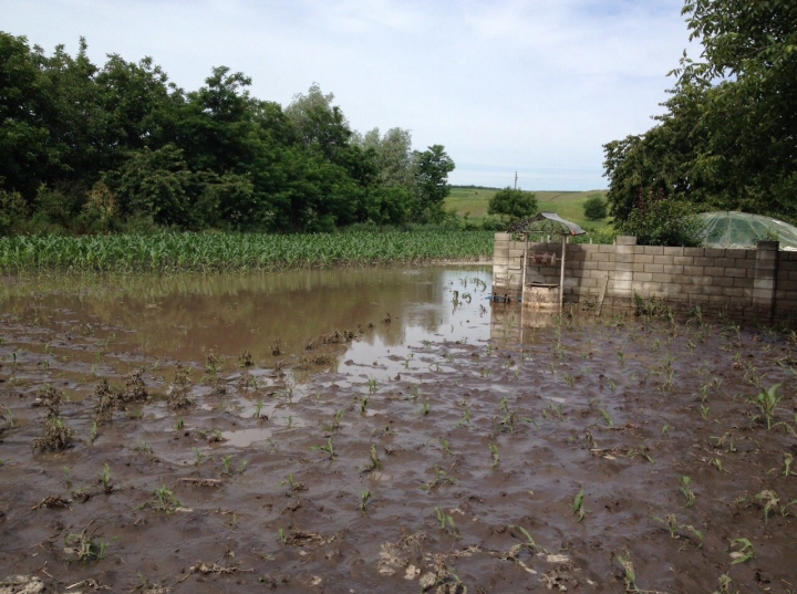 SUTE de localităţi din ţară, AFECTATE PUTERNIC de PLOILE TORENŢIALE de seara trecută (FOTO/VIDEO)