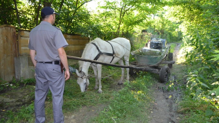 Contrabandă cu CĂRUŢA! Este INCREDIBIL ce au declarat contrabandiştii (FOTO/VIDEO)