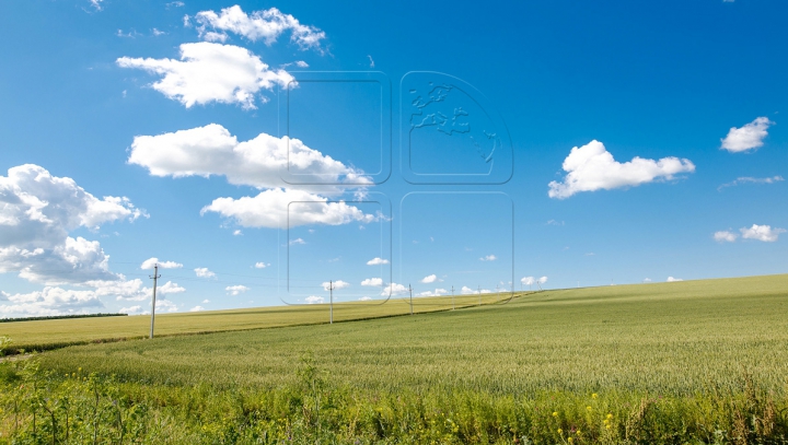 METEO. Ploile ocolesc Moldova. Câte grade vom avea în termometre