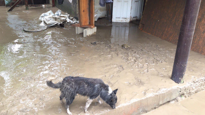 POTOP la Ceadîr-Lunga. Ploile torenţiale au afectat 52 de gospodării, 21 persoane au fost evacuate (FOTOREPORT)