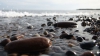 PERICOL MORTAL! O creatură apărută din spuma mării i-a băgat în sperieţi pe turişti (VIDEO)