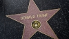 A construit un mini-zid în jurul stelei lui Donald Trump de pe Hollywood Walk of Fame. Care este MOTIVUL