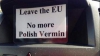 #BREXIT. Efectele rasiste ale referendumului din Marea Britanie (VIDEO)