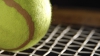 Cum se fabrică o minge de tenis (VIDEO)
