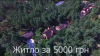 Cum arată PALATUL DE MILIOANE, închiriat cu 5.000 de hrivne, în care trăieşte un deputat (VIDEO)