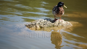 Va mai ploua? Surprizele vremii pentru următoarele zile