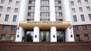 Fotografii de colecție la Parlament. Evenimentul i-a surprins plăcut pe deputați