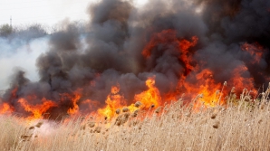 Zeci de hectare de vegetaţie din Moldova, cuprinse de flăcări, în ultimele 24 de ore