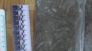 CONTRABANDĂ CU MARIJUANA! Doi bărbaţi au fost reţinuţi de Poliţia de Frontieră (FOTO)