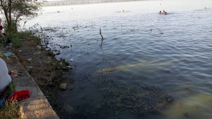 NO COMMENT: Cum arată plaja din Ghidighici într-o zi de duminică (FOTO)