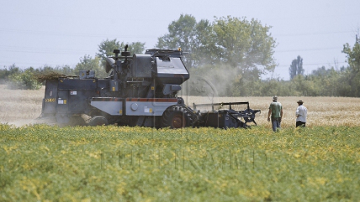 Peste 34 de mii de agricultori din România, care au avut de suferit în urma secetei, vor primi ajutor de la stat