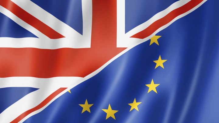 Parlamentarii britanici cer guvernului să îi lase să voteze pentru Brexit