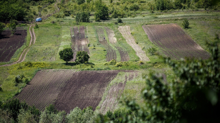 Subvenţii în avans pentru investiţii în agricultură. Beneficiarii care pot depune cereri pentru a primi ajutor