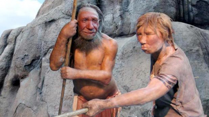 STUDIU: Oamenii de Neanderthal practicau canibalismul