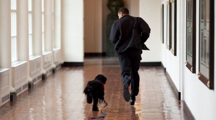 Colecție unică de fotografii cu cel mai puternic om al planetei. Ce a surprins fotograful lui Obama