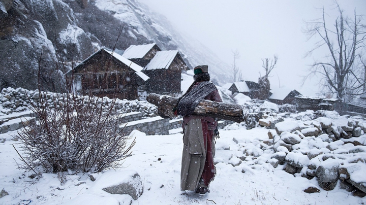 National Geographic a publicat o colecţie cu cele mai SPECTACULOASE FOTOGRAFII ale anului 2016