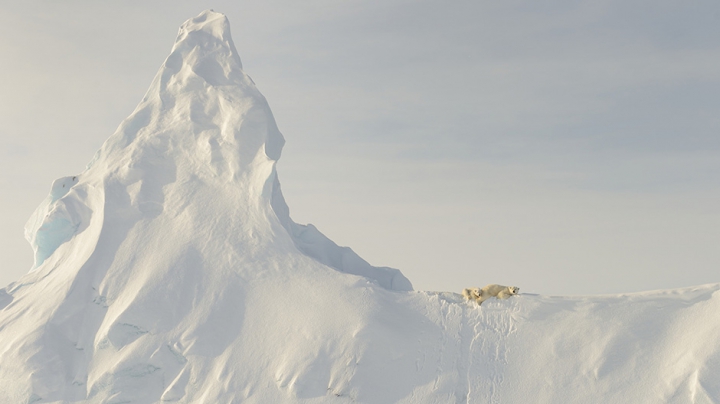 National Geographic a publicat o colecţie cu cele mai SPECTACULOASE FOTOGRAFII ale anului 2016