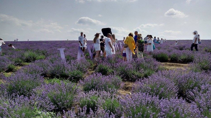 Parfum ademenitor! Afacerea AROMATĂ din Moldova care i-a dus pe producători în topul mondial