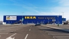 Ikea cumpără noi păduri în România