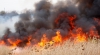 RECORD TRIST ÎN PORTUGALIA. Incendiile au devastat 442 de mii de hectare de vegetație