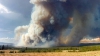 Incendiile de vegetație fac ravagii în Statele Unite. Mii de hectare au fost pârjolite