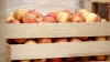 Fructe și legume în grădinițe. Ministerul Agriculturii a lansat o campanie de promovare a produselor autohtone