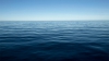 Daune ecologice în Oceanul Pacific din cauza unei devărsări de petrol