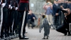 Un pinguin din Scoția a fost DECORAT în cadrul unei ceremonii militare