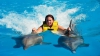 Motive de ceartă în Hawaii. Înotul cu delfini ar putea fi interzis