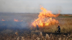 Pericolul de INCENDII persistă! Zeci de focare au fost stinse în ultimele 24 de ore