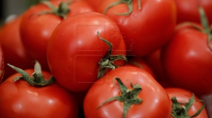 Roşiile cu surprize! Fermierii spun care ar fi provenienţa substanţei dubioase ieşită din legume