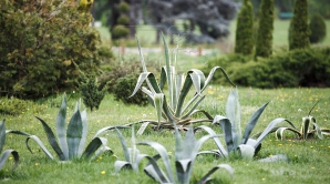 METEO 1 august: Începem săptămâna cu temperaturi insuportabile