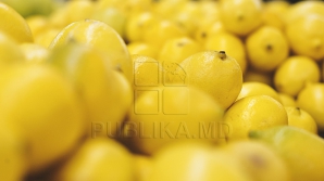 ADEVĂRATUL MOTIV al scumpirii lămâilor. Când va scădea preţul fructelor