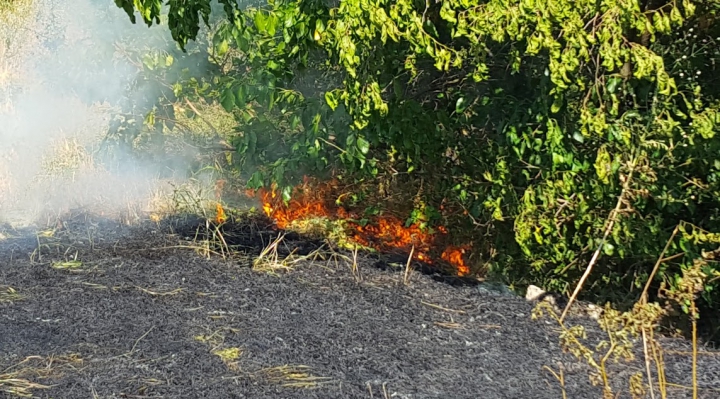 Circa 20 de hectare de vegetaţie AU ARS în urma unui incendiu lângă Vadul lui Vodă (FOTO/VIDEO)