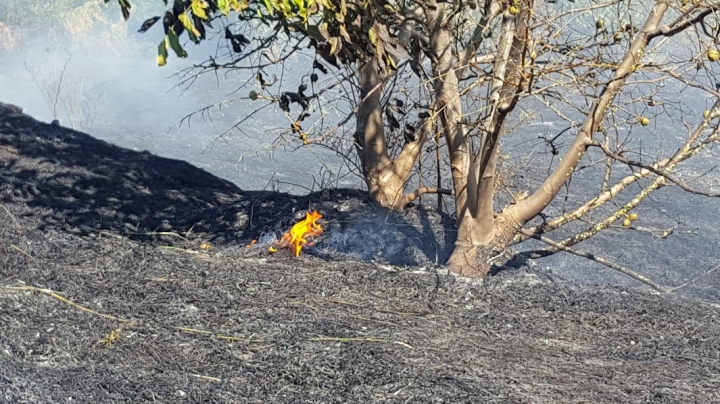 Circa 20 de hectare de vegetaţie AU ARS în urma unui incendiu lângă Vadul lui Vodă (FOTO/VIDEO)