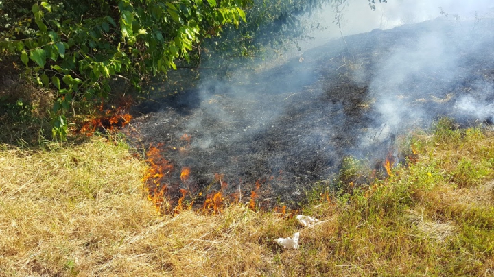 Circa 20 de hectare de vegetaţie AU ARS în urma unui incendiu lângă Vadul lui Vodă (FOTO/VIDEO)