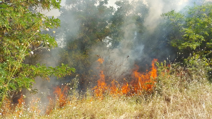 Circa 20 de hectare de vegetaţie AU ARS în urma unui incendiu lângă Vadul lui Vodă (FOTO/VIDEO)