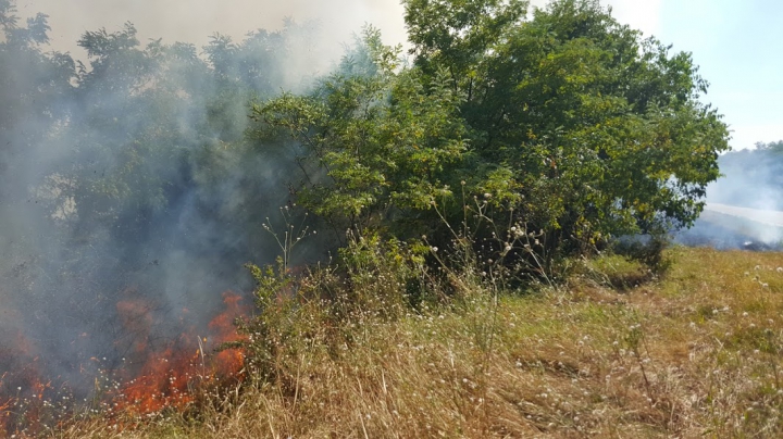 Circa 20 de hectare de vegetaţie AU ARS în urma unui incendiu lângă Vadul lui Vodă (FOTO/VIDEO)