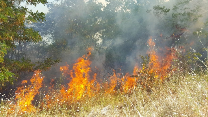 Circa 20 de hectare de vegetaţie AU ARS în urma unui incendiu lângă Vadul lui Vodă (FOTO/VIDEO)