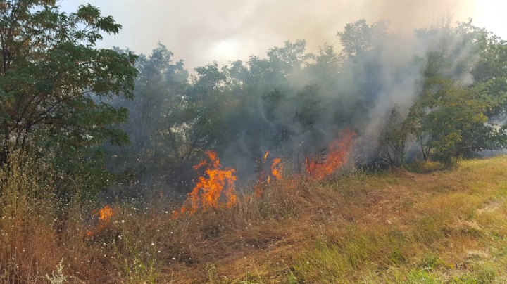 Circa 20 de hectare de vegetaţie AU ARS în urma unui incendiu lângă Vadul lui Vodă (FOTO/VIDEO)