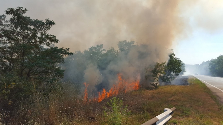 Circa 20 de hectare de vegetaţie AU ARS în urma unui incendiu lângă Vadul lui Vodă (FOTO/VIDEO)