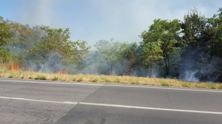 Circa 20 de hectare de vegetaţie AU ARS în urma unui incendiu lângă Vadul lui Vodă (FOTO/VIDEO)