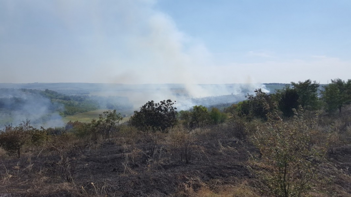 Circa 20 de hectare de vegetaţie AU ARS în urma unui incendiu lângă Vadul lui Vodă (FOTO/VIDEO)