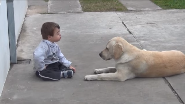 NO COMMENT: Ce face o căţeluşă atunci când vede un copil cu sindromul Down (VIDEO)