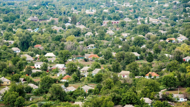 I-au venit de hac! Ce cultiva un bărbat printre roşii