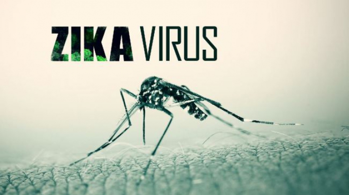 VIRUSUL ZIKA: Roche a obținut o autorizație pentru un test de diagnosticare a virusului